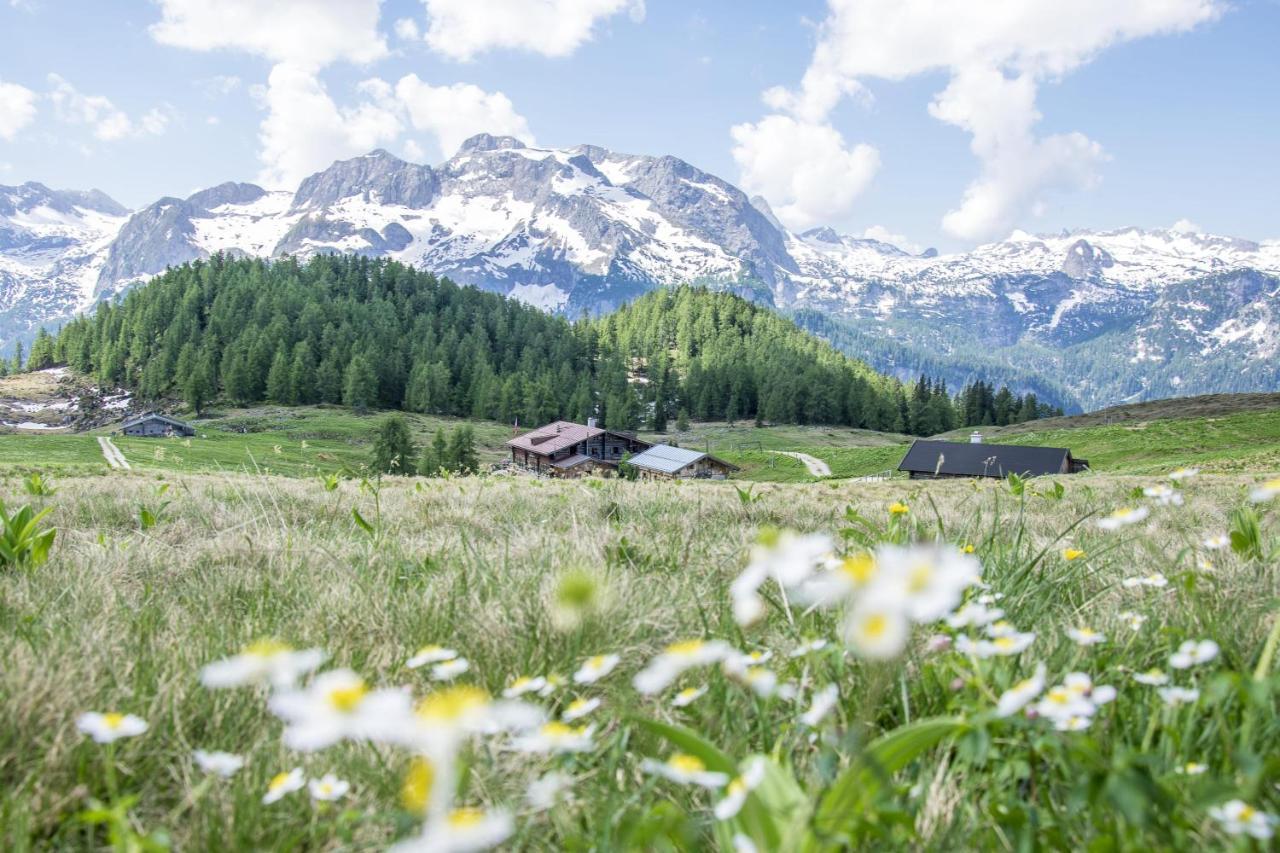 Ferienwohnung Im Gaestehaus Sieger-Brandner راماسو المظهر الخارجي الصورة